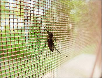 Fiber Insect Screens